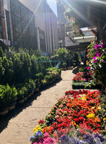New York City Flower Market is Happening