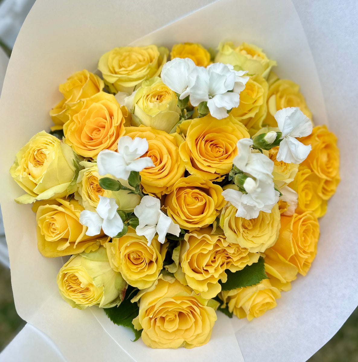 Yellow Rose Variety Box