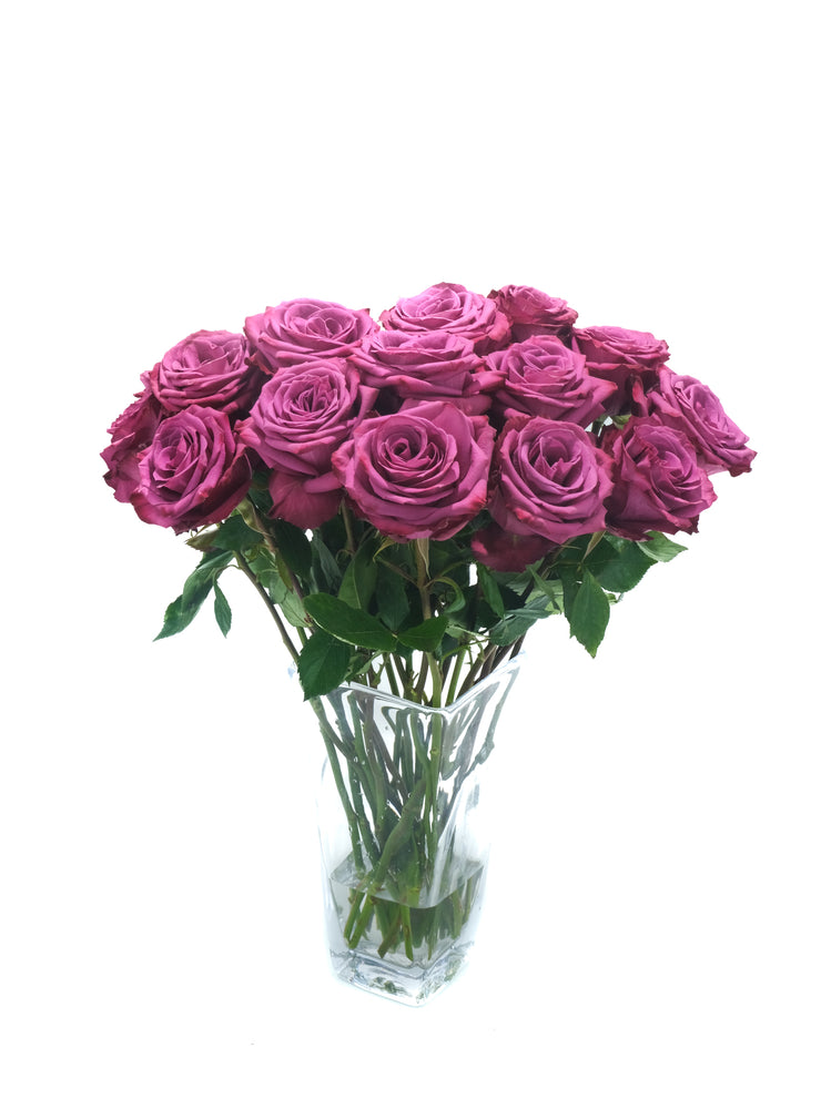 Bluberry Roses Blueberry Rose – Cultivars
