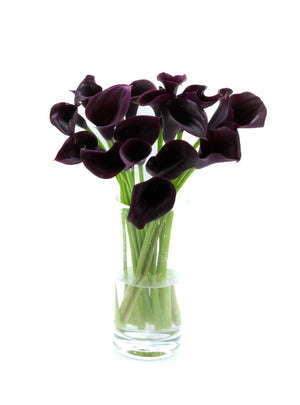
                  
                    Load image into Gallery viewer, Dark Purple Calla Lilies
                  
                