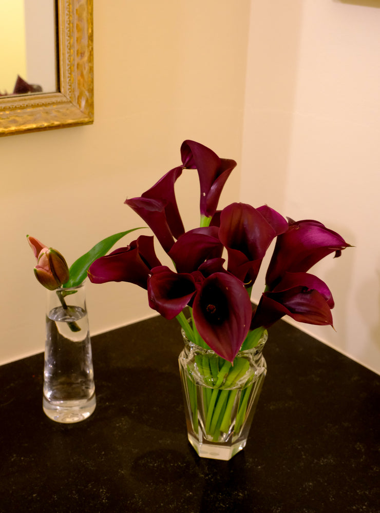 
                  
                    Load image into Gallery viewer, Dark Purple Calla Lily
                  
                