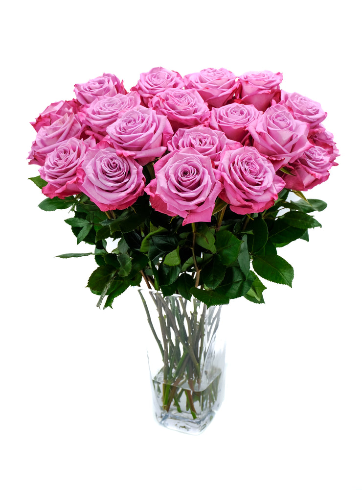 Moody Blues Rose