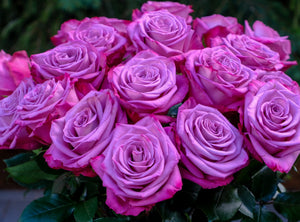 
                  
                    Load image into Gallery viewer, Moody Blues Roses
                  
                