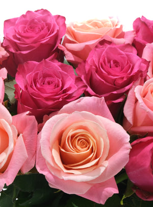 
                  
                    Load image into Gallery viewer, Miss Piggy&amp;#39;s Party
                  
                