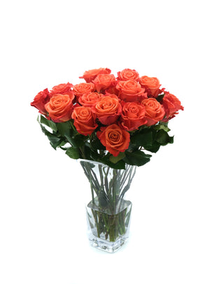 
                  
                    Load image into Gallery viewer, Orange Crush Rose
                  
                