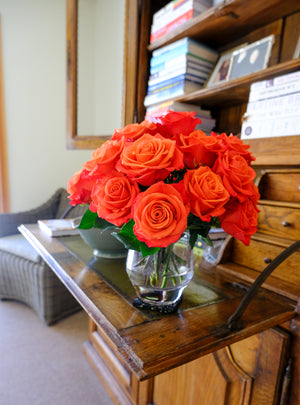 
                  
                    Load image into Gallery viewer, Orange Crush Rose
                  
                