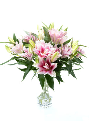 
                  
                    Load image into Gallery viewer, Double Pink Oriental Lily
                  
                