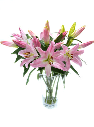 
                  
                    Load image into Gallery viewer, Pink Oriental Lilies
                  
                