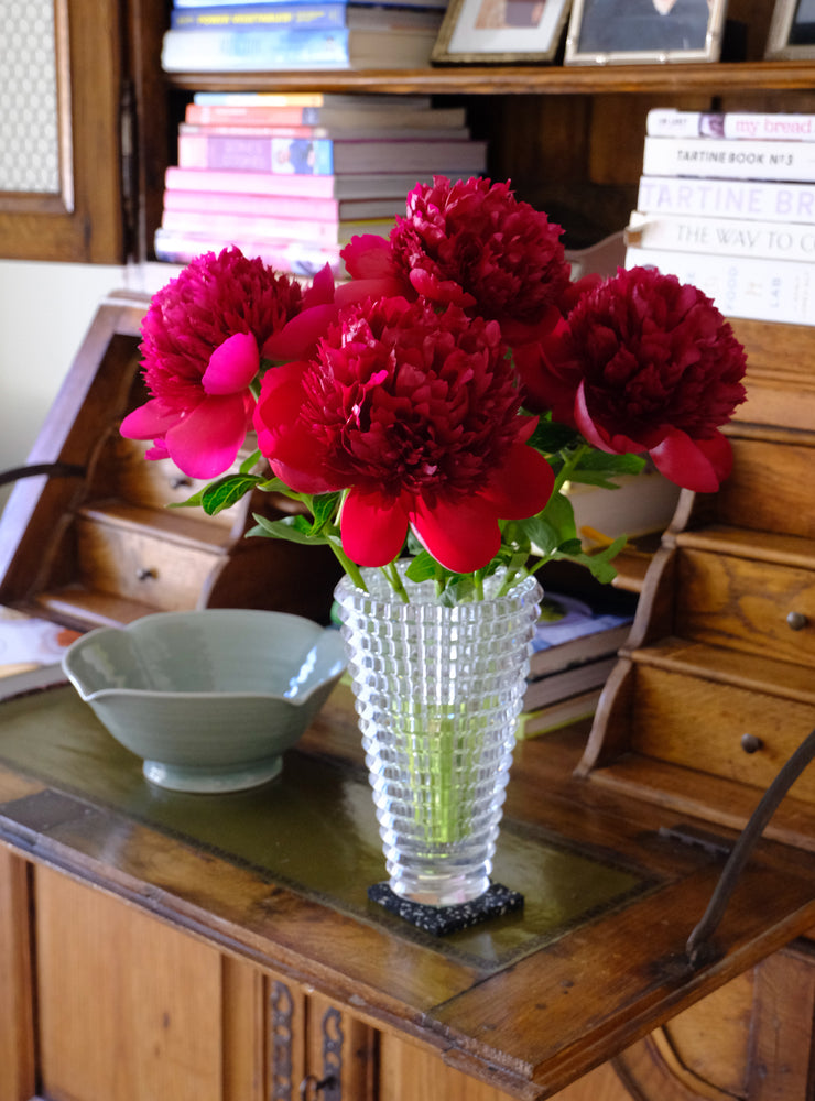
                  
                    Load image into Gallery viewer, Red Charm Peony
                  
                