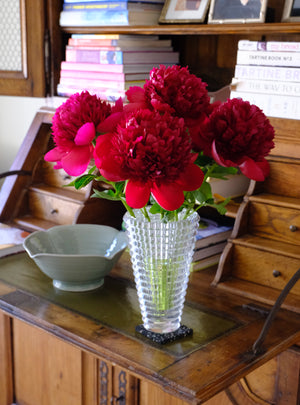 
                  
                    Load image into Gallery viewer, Red Charm Peony
                  
                