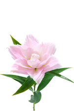 Sarah Bernhardt Oriental Lily