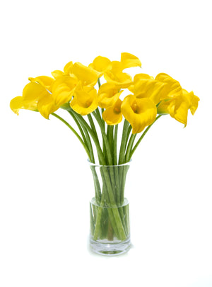
                  
                    Load image into Gallery viewer, Yellow Calla Lilies
                  
                