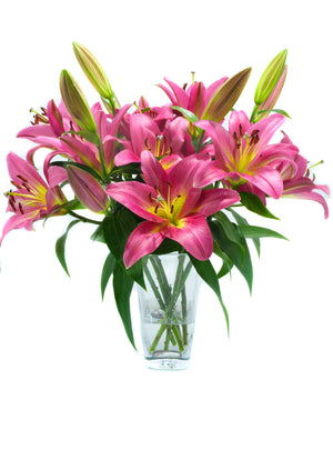 
                  
                    Load image into Gallery viewer, Touchstone Oriental Lily
                  
                