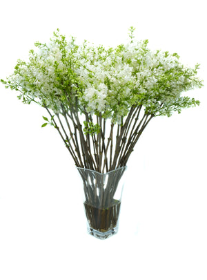 
                  
                    Load image into Gallery viewer, White Lilac
                  
                