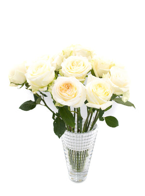 
                  
                    Load image into Gallery viewer, Cream Rose Variety Box
                  
                