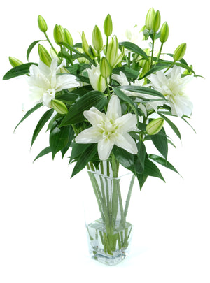 
                  
                    Load image into Gallery viewer, Double White Oriental Lily
                  
                