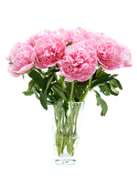 Etched Salmon Peony