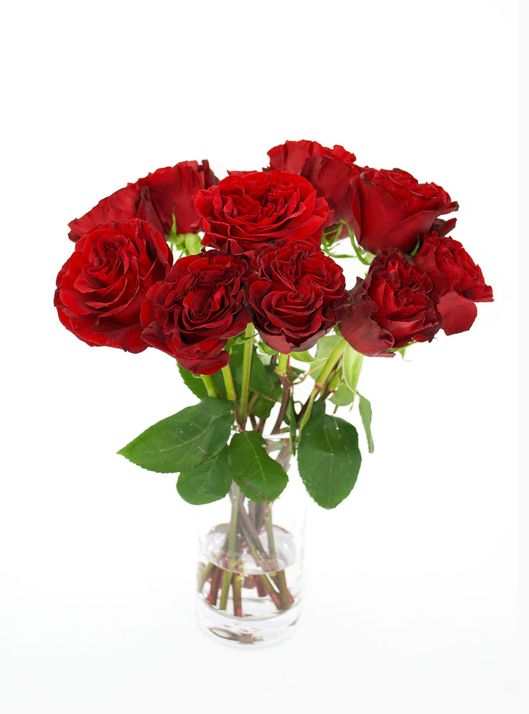 Hordes Roses Hearts Rose – Cultivars