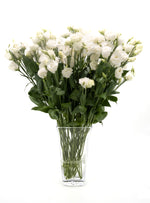 Double White Lisianthus