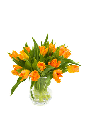 
                  
                    Load image into Gallery viewer, Orange Parrot Tulips
                  
                