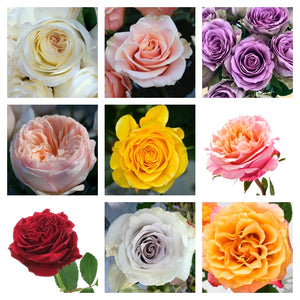 
                  
                    Load image into Gallery viewer, Rose Subscription
                  
                