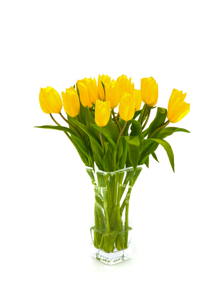 Strong Gold Tulip