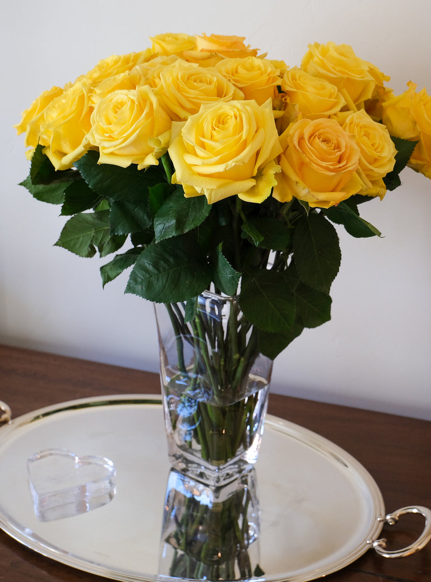 Super Sun Rose – Cultivars