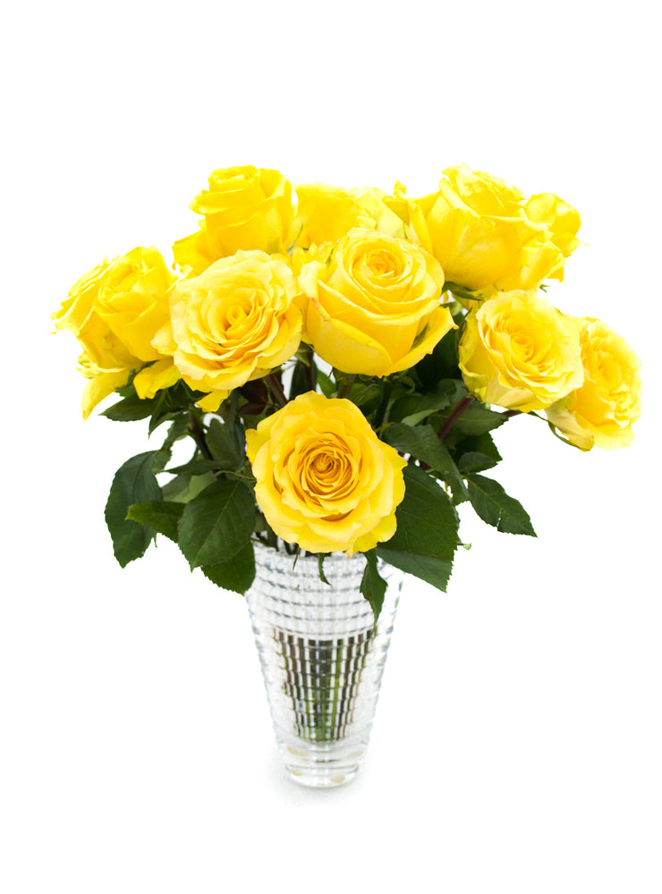 
                  
                    Load image into Gallery viewer, Yellow Rose Variety
                  
                