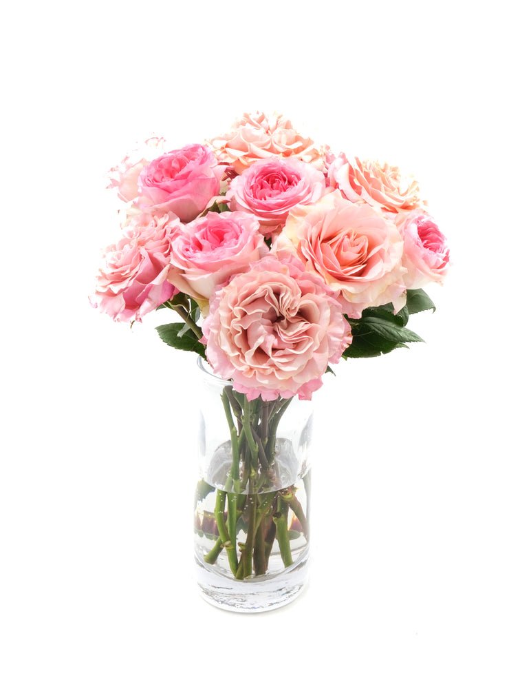 
                  
                    Load image into Gallery viewer, Pink Garden Rose Variety 
                  
                