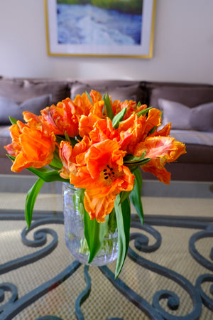 
                  
                    Load image into Gallery viewer, Orange Parrot Tulip
                  
                
