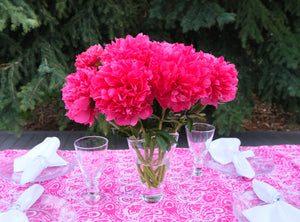 
                  
                    Load image into Gallery viewer, Command Performance Peony
                  
                