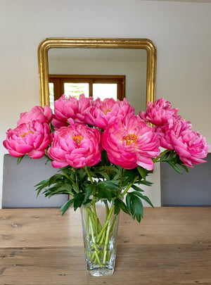 
                  
                    Load image into Gallery viewer, Coral Charm Peony
                  
                